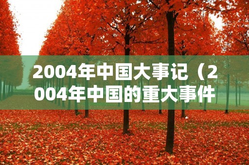2004年中国大事记（2004年中国的重大事件）