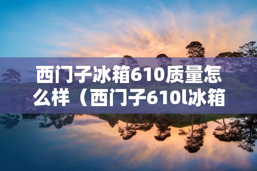 西门子冰箱610质量怎么样(西门子610l冰箱哪款好)