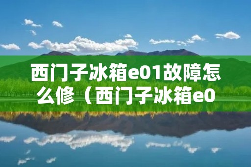 西门子冰箱e01故障怎么修(西门子冰箱e01故障怎么修复)