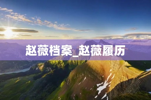赵薇档案_赵薇履历 赵薇档案_赵薇履历