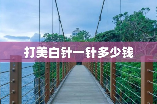 打美白针一针多少钱