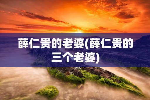 薛仁贵的老婆(薛仁贵的三个老婆)
