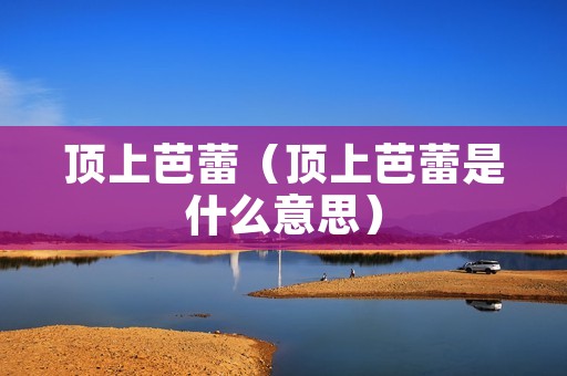 顶上芭蕾（顶上芭蕾是什么意思）