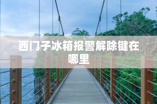 西门子冰箱报警解除键在哪里