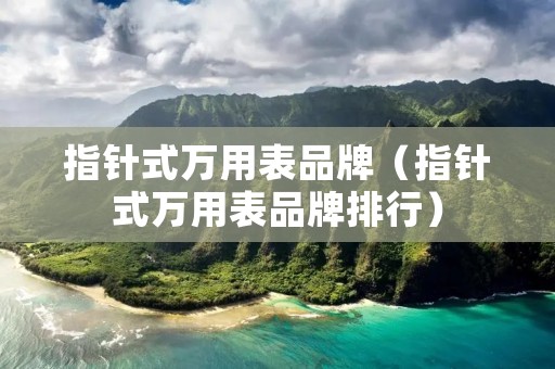 指针式万用表品牌（指针式万用表品牌排行）