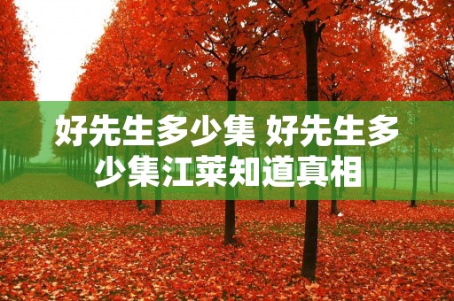 好先生多少集 好先生多少集江莱知道真相