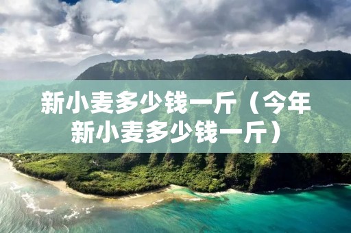 新小麦多少钱一斤（今年新小麦多少钱一斤）