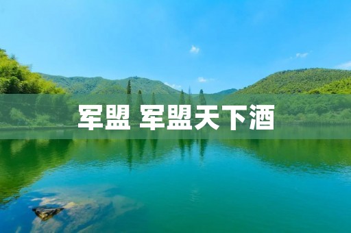 军盟 军盟天下酒