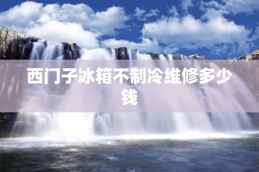 西门子冰箱不制冷维修多少钱