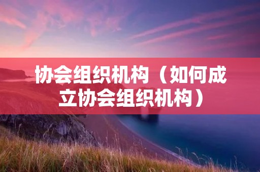 协会组织机构（如何成立协会组织机构）