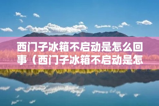 西门子冰箱不启动是怎么回事（西门子冰箱不启动是怎么回事视频）