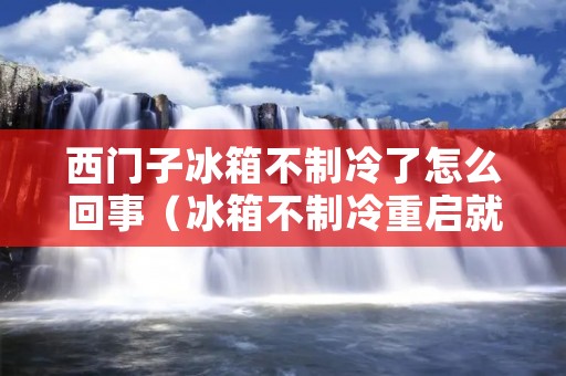 西门子冰箱不制冷了怎么回事（冰箱不制冷重启就好了）