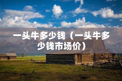 一头牛多少钱(一头牛多少钱市场价) 一头牛多少钱(一头牛多少钱市场价)