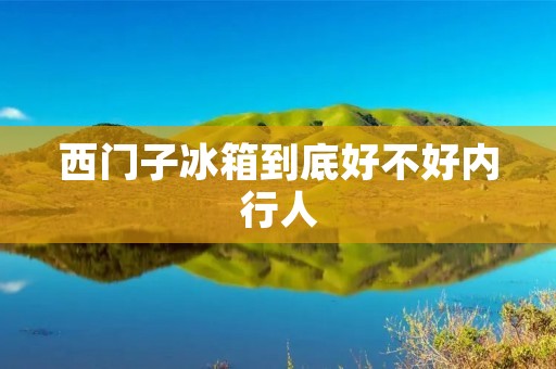 西门子冰箱到底好不好内行人