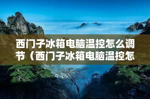 西门子冰箱电脑温控怎么调节(西门子冰箱电脑温控怎么调节图片)