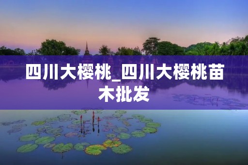 四川大樱桃_四川大樱桃苗木批发