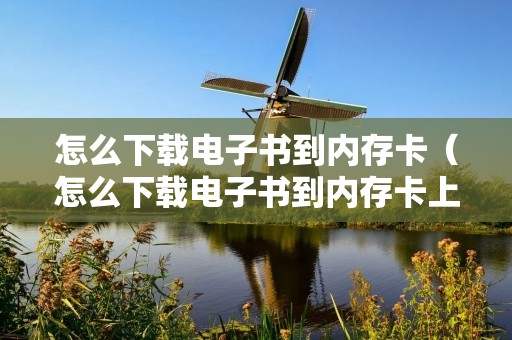 怎么下载电子书到内存卡(怎么下载电子书到内存卡上去) 怎么下载电子书到内存卡(怎么下载电子书到内存卡上去)