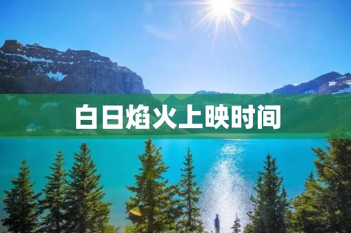 白日焰火上映时间