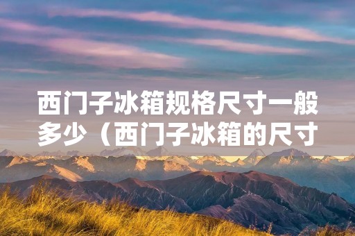 西门子冰箱规格尺寸一般多少(西门子冰箱的尺寸规格)
