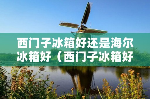 西门子冰箱好还是海尔冰箱好（西门子冰箱好还是海尔冰箱好?）