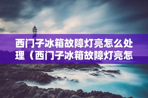 西门子冰箱故障灯亮怎么处理(西门子冰箱故障灯亮怎么处理好)