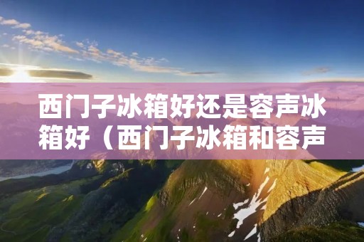 西门子冰箱好还是容声冰箱好（西门子冰箱和容声冰箱哪个更好）