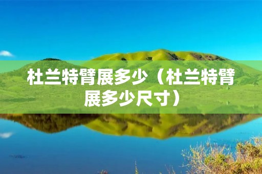 杜兰特臂展多少（杜兰特臂展多少尺寸）