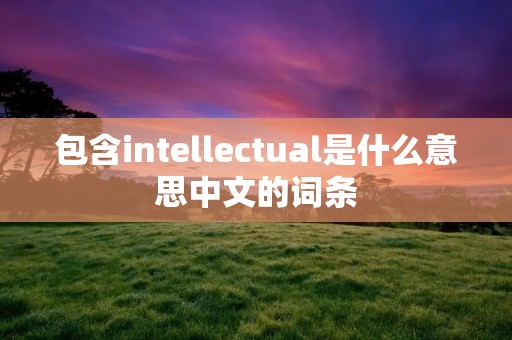 包含intellectual是什么意思中文的词条