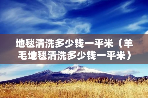 地毯清洗多少钱一平米（羊毛地毯清洗多少钱一平米）