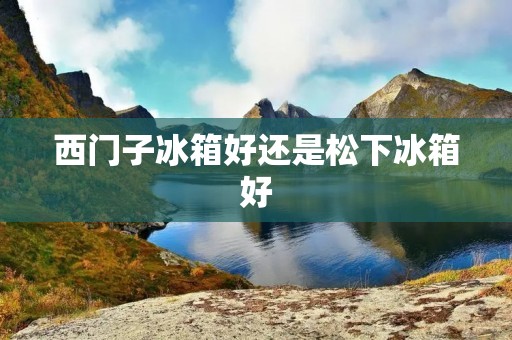 西门子冰箱好还是松下冰箱好