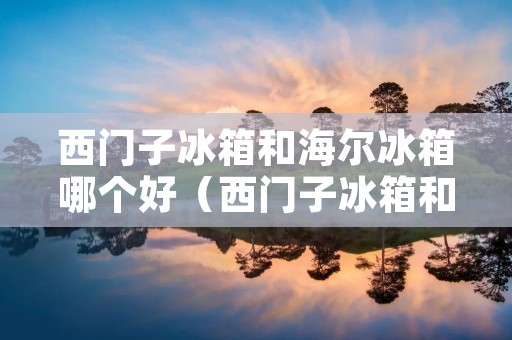 西门子冰箱和海尔冰箱哪个好（西门子冰箱和海尔冰箱哪个好一点）