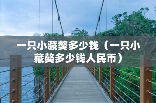 一只小藏獒多少钱（一只小藏獒多少钱人民币）