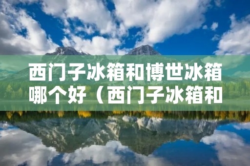 西门子冰箱和博世冰箱哪个好（西门子冰箱和博世冰箱哪个好些）