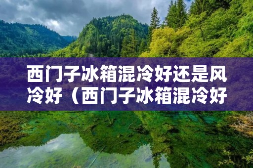 西门子冰箱混冷好还是风冷好（西门子冰箱混冷好还是风冷好用）