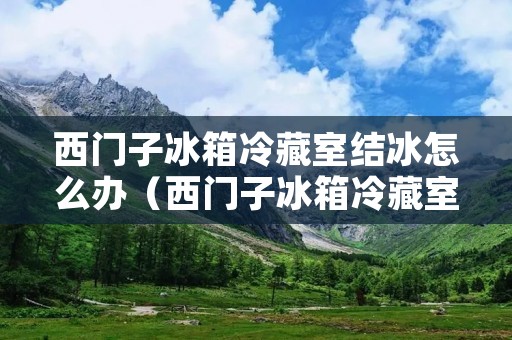 西门子冰箱冷藏室结冰怎么办（西门子冰箱冷藏室结冰怎么办视频）