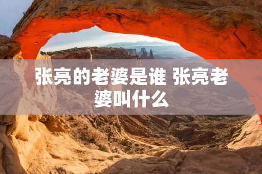 张亮的老婆是谁 张亮老婆叫什么