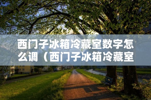 西门子冰箱冷藏室数字怎么调（西门子冰箱冷藏室数字怎么调节）
