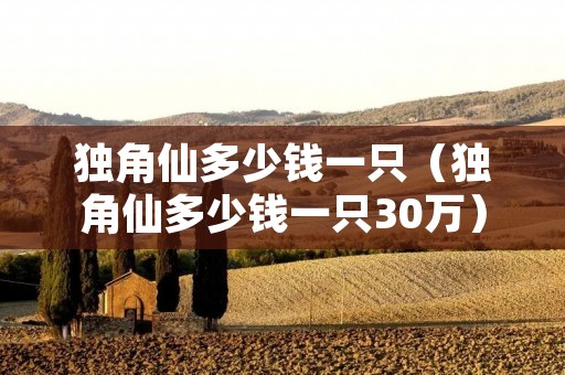 独角仙多少钱一只（独角仙多少钱一只30万）