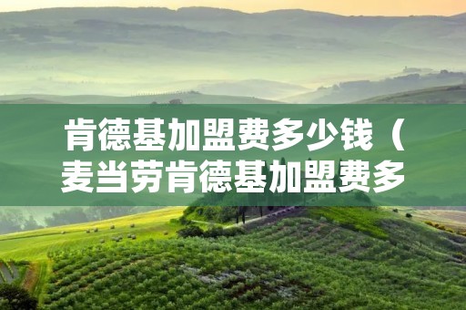 肯德基加盟费多少钱（麦当劳肯德基加盟费多少钱）