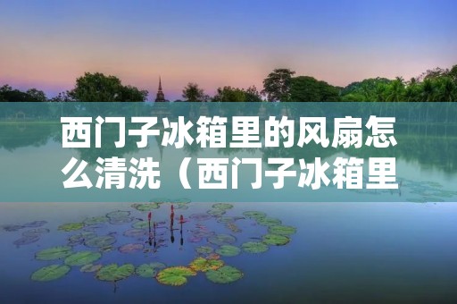 西门子冰箱里的风扇怎么清洗(西门子冰箱里的风扇怎么清洗视频教程)
