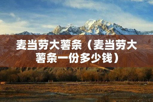 麦当劳大薯条（麦当劳大薯条一份多少钱）