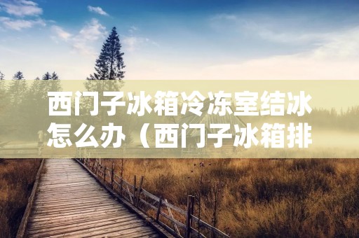 西门子冰箱冷冻室结冰怎么办(西门子冰箱排水孔结冰堵塞怎么办)
