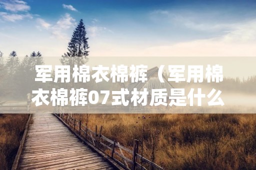 军用棉衣棉裤(军用棉衣棉裤07式材质是什么) 军用棉衣棉裤(军用棉衣棉裤07式材质是什么)