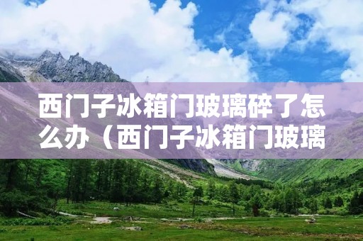 西门子冰箱门玻璃碎了怎么办(西门子冰箱门玻璃碎了,怎么维修)