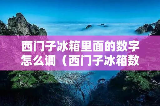 西门子冰箱里面的数字怎么调(西门子冰箱数字显示怎么调)