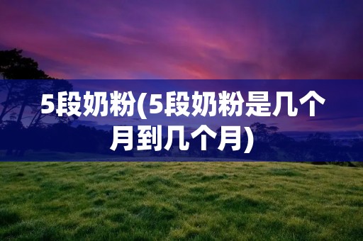 5段奶粉(5段奶粉是几个月到几个月)