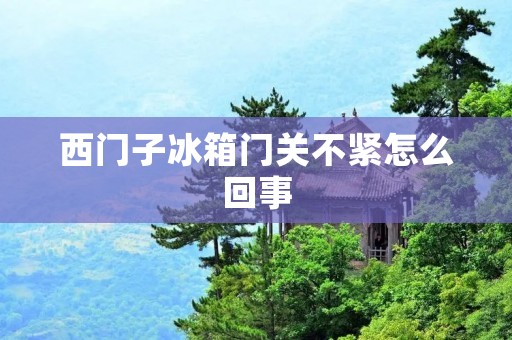 西门子冰箱门关不紧怎么回事 西门子冰箱门关不紧怎么回事