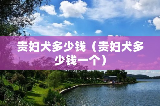 贵妇犬多少钱（贵妇犬多少钱一个）