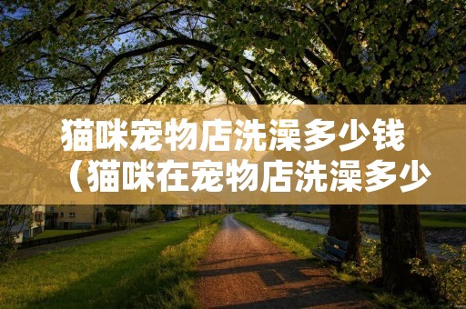 猫咪宠物店洗澡多少钱（猫咪在宠物店洗澡多少钱一次）