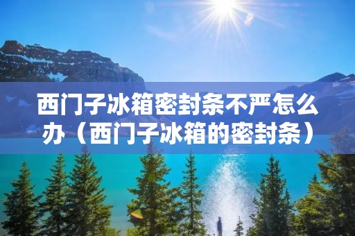 西门子冰箱密封条不严怎么办(西门子冰箱的密封条) 西门子冰箱密封条不严怎么办(西门子冰箱的密封条)